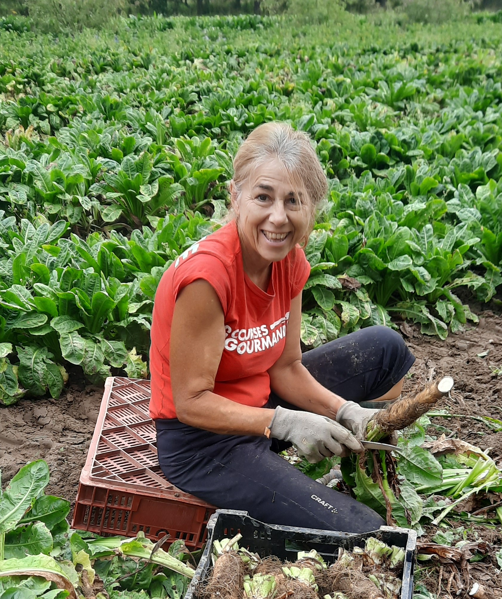 20240927_101712~2 (1)